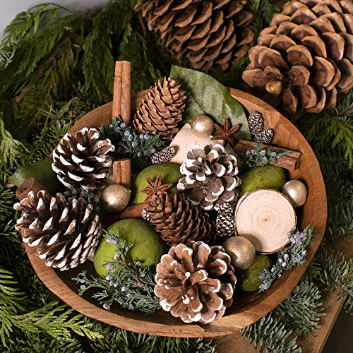 Evergreen Pine Potpourri Bag with Fragrance Refresher Oil