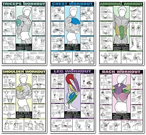 Skiennix Workout Chart Posters - 6PCS Motivational Gym Decor for Home | Fitness Exercise Guides
