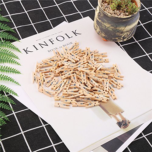 Mini Wooden Craft Clothespins - 1 Inch, 100pcs Pack