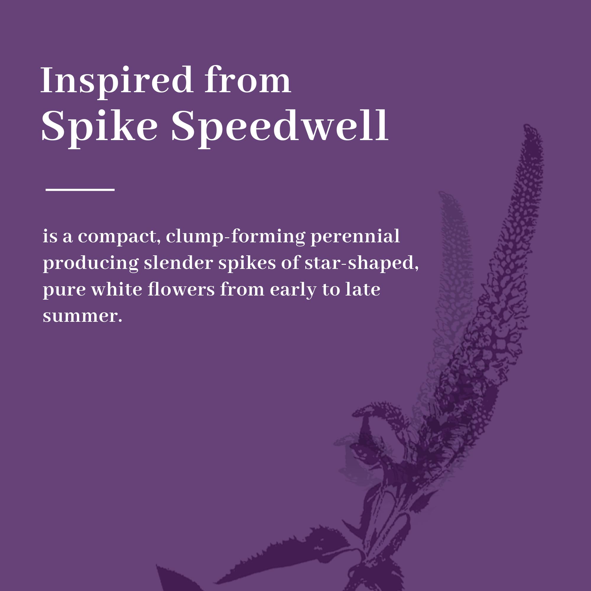 KOL 4ft 2-Pack Faux Veronica Spiked Speedwell Grass, 47in Artificial Veronica Spicata Flower, Tall Reed Grass for Home Office Garden Wedding Décor, Indoor/Outdoor Fake Plant, UV-Resistant, Purple