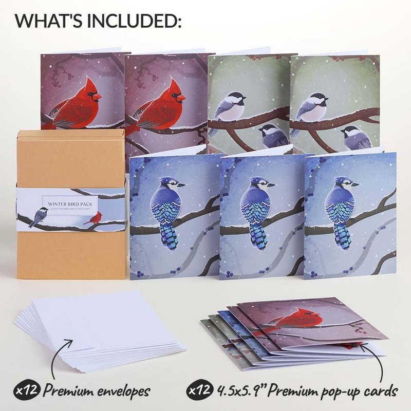Lovepop Winter Bird Box Set (Assorted 12-Pack) Pop-Up Card for Her and Him - 3D Holiday Greeting Cards for Boys, Girls, Men, Women - 4.5" x 5.9" Paperpop Card - Envelope Included