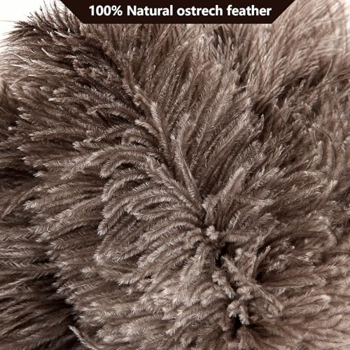 Natural Ostrich Feather Dusters with Wooden Handles, 14 Inch - 2 Pack