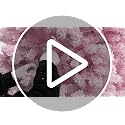 YITAHOME 4.5 ft Pink Flocked Christmas Tree with Warm-White Lights - Adjustable 8 Modes, Full Lush Design, Stable Base