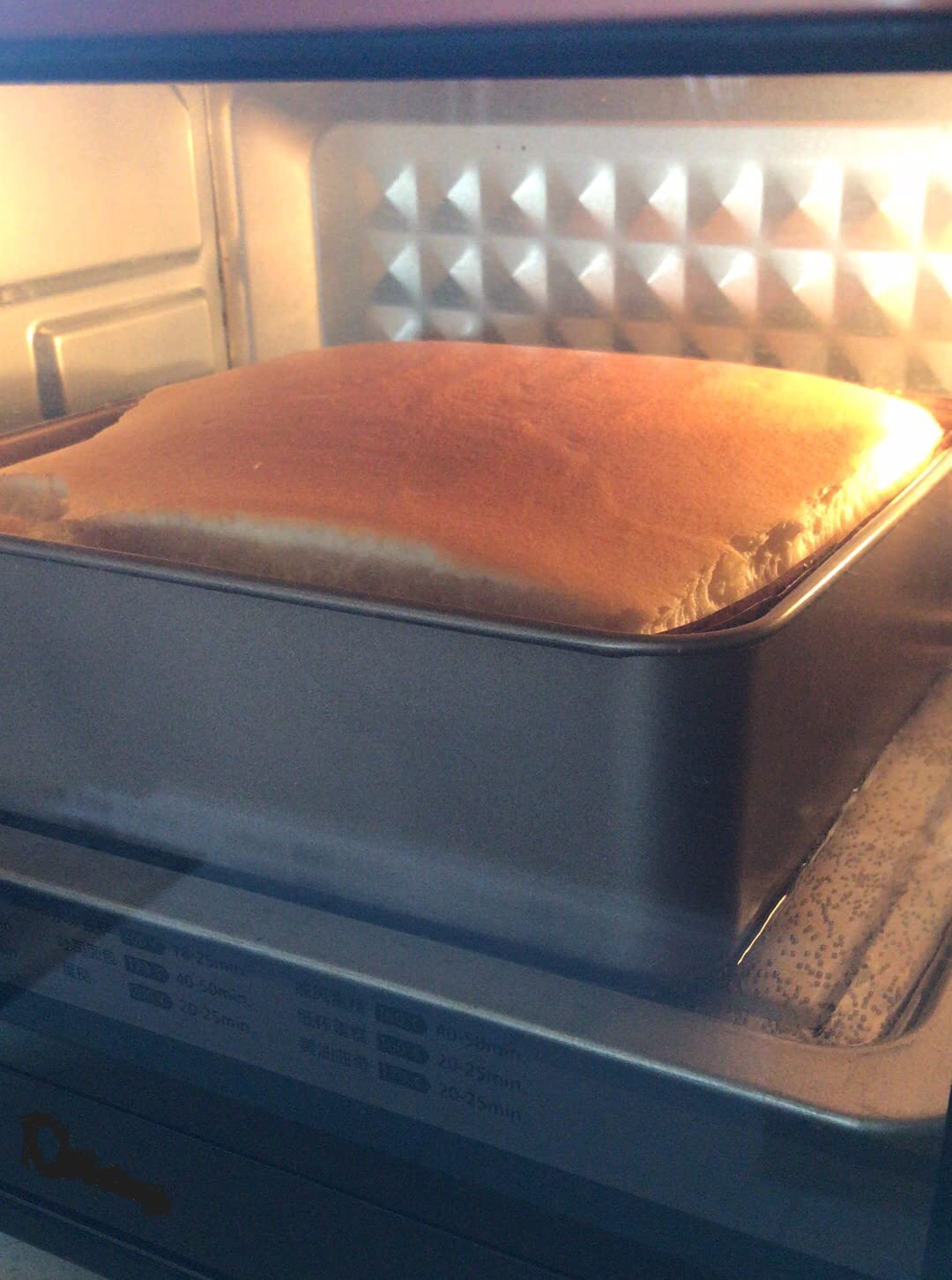 Siking 8'' x 3'' Deep Square Cake Pan Baking Mold Non-stick Coating Heavy Duty Brownie Bread Tray ( Champagne Gold ) (8 8 3 inch)