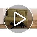 4-in-1 Convertible Folding Sofa Bed with Pillow - Tufted Foam Floor Couch