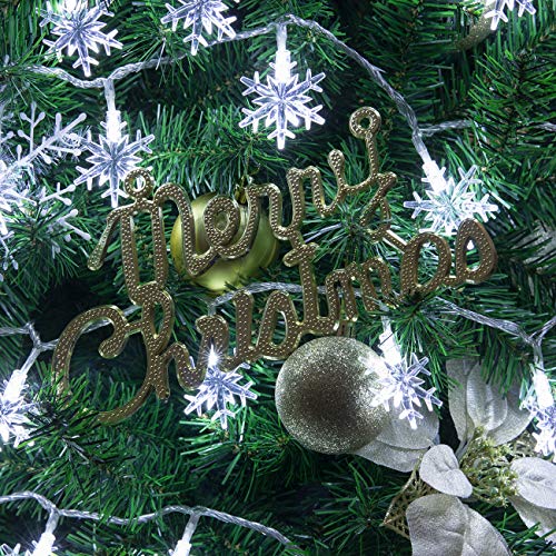 AWQ 100 LED 49 ft Snowflake Christmas Lights, 8 Modes, White (Indoor/Outdoor)