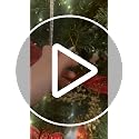 Red Cardinal Ceramic Christmas Ornament - Memorial Bird Tree Decoration
