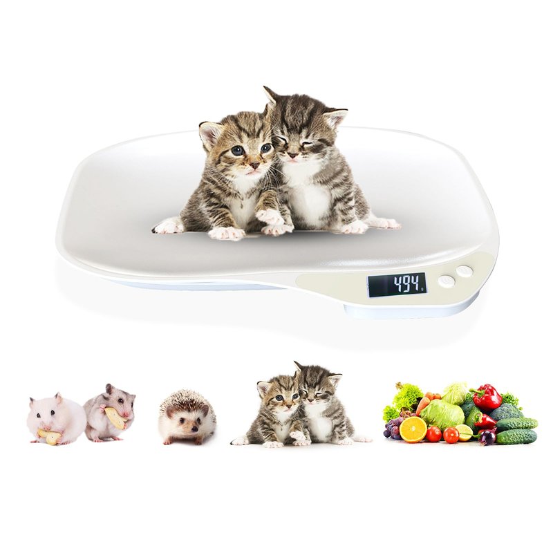 YTDTKJ Mini Pet Scale, Small Animals Scales for Weighing, Digital Kitchen Scale with LED Display, Small Home Scale, Portable Dog Cat Scale for Hamster Rabbit Hedgehog, Max. 33 lbs, 14.1x10in
