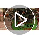 Green Christmas Tree Collar Skirt for 3-6 ft Trees – Stink Stank Stunk Design
