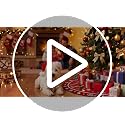 Boston Terrier Christmas Tree Skirt 48 Inch Holiday Decor for Indoor & Outdoor
