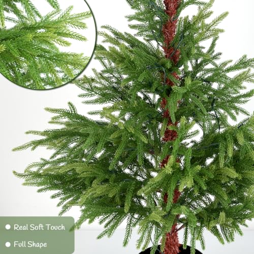3 ft Pre-Lit Norfolk Pine Christmas Tree with 70 Warm LEDs, No Mess Premium PE