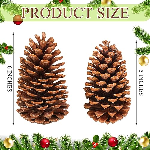 Huwena 24 Pcs Large Natural Pine Cones 5-6 Inches for Holiday Decor, Unscented