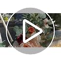 Artificial Wedding Arch Flower Swag Set, Terracotta & Champagne Floral Decor