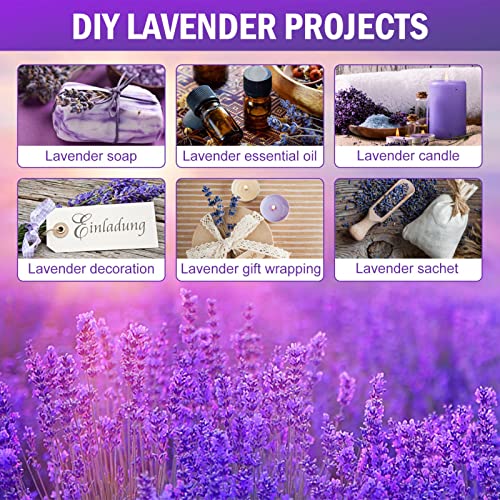 Natural Dried Lavender Flower Bundles for Home Decor and Fragrance