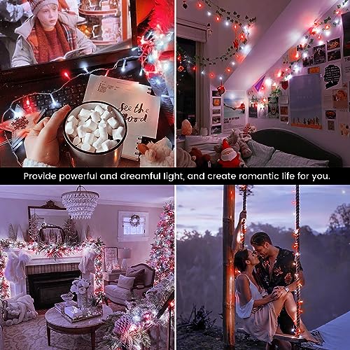 Hopolon 33 FT 100 LED String Lights Indoor Outdoor,Red and White