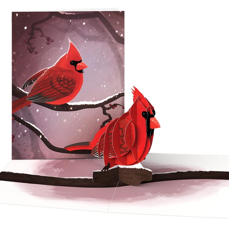 Lovepop Winter Bird Box Set (Assorted 12-Pack) Pop-Up Card for Her and Him - 3D Holiday Greeting Cards for Boys, Girls, Men, Women - 4.5" x 5.9" Paperpop Card - Envelope Included