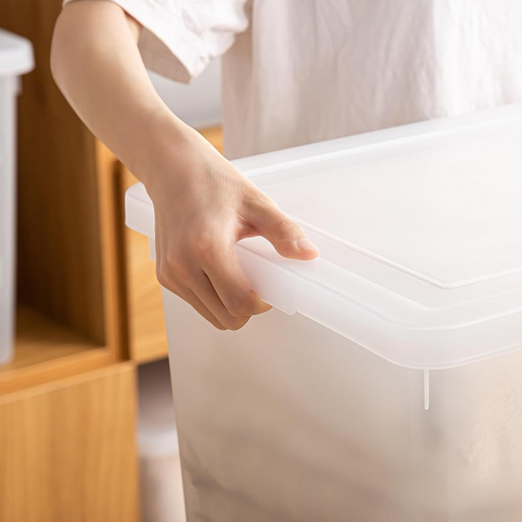 Stackable Plastic Storage Bins by N-2L - 15 Quart Organizing Containers with Lids for Shoes & Crafts | 2 Pack