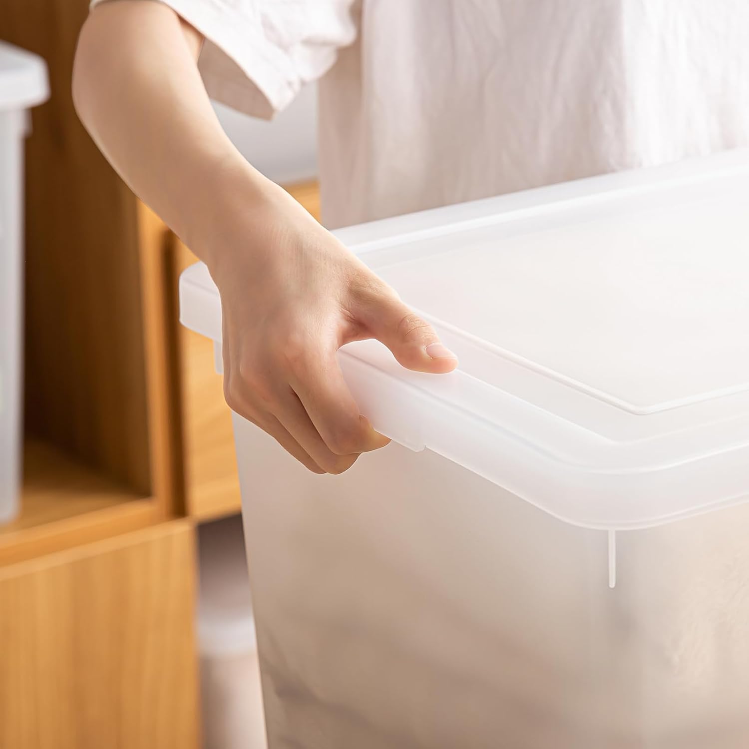 Stackable Plastic Storage Bins by N-2L - 15 Quart Organizing Containers with Lids for Shoes & Crafts | 2 Pack
