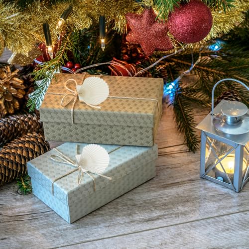3-4 Inch Scallop Seashells with Hole - 15pc Natural White Craft Ornaments