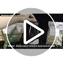 40 Pack Dried Herbs and Flowers Kit for Witchcraft and Spell Crafting