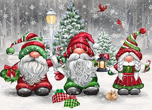 Christmas Gnomes Greeting Cards Set with Foil Lined Envelopes - 15 Pack