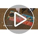 5-Piece Interchangeable Seasonal Doormat Set with Rubber Tray - 18 x 30