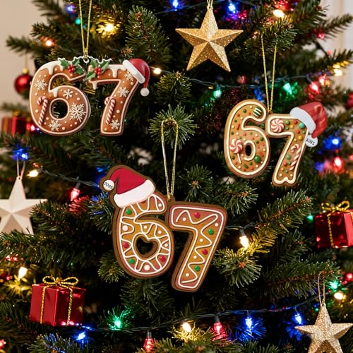 MYSQIHO 3-Pack 67 Meme Funny Christmas Ornaments - Santa Acrylic Decorations for Tree (Variation C)
