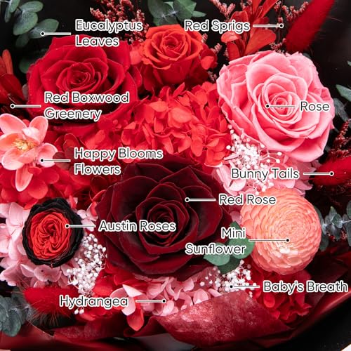 Preserved Red Rose Bouquet - Real Forever Flowers Gift Set with Vase