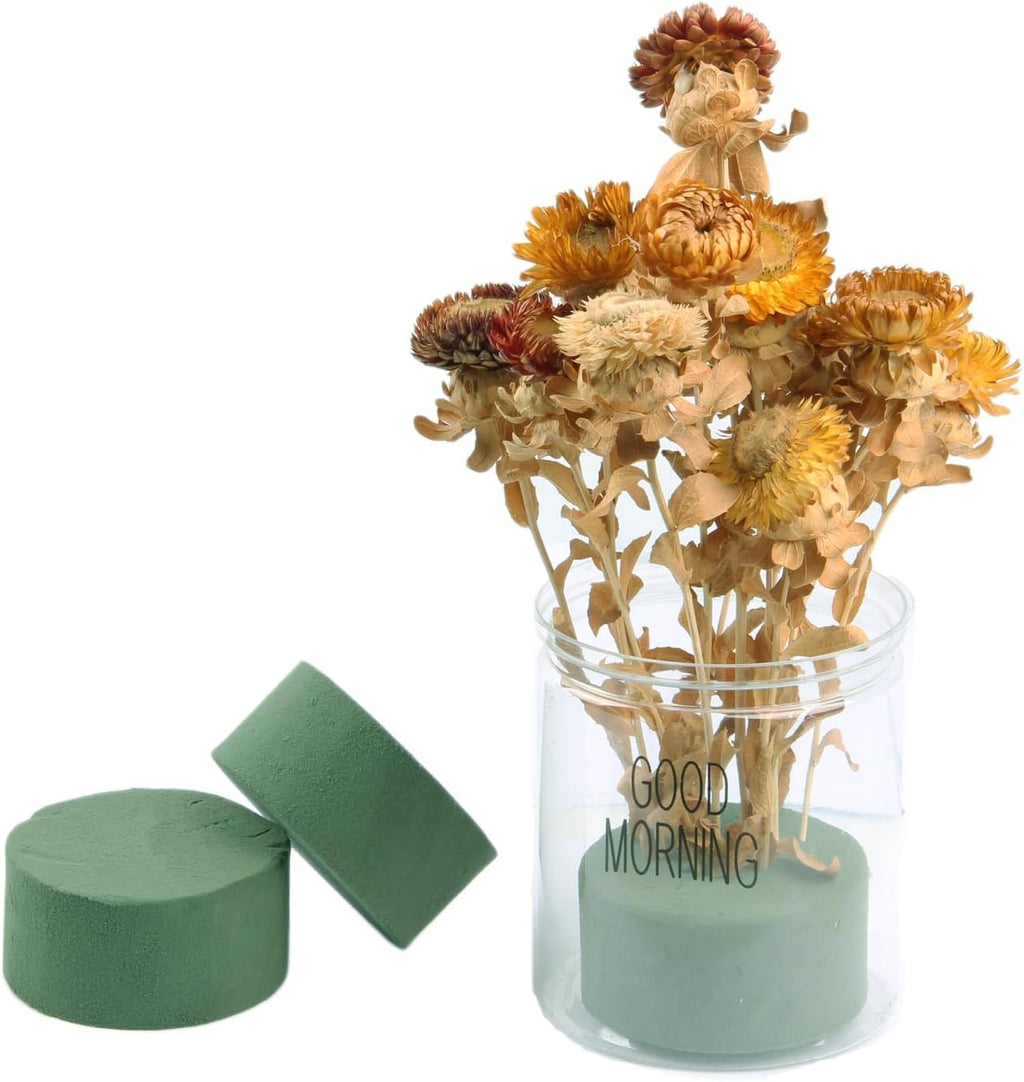 Skiennix Floral Foam - 6 Pack Round 3" Green Wet & Dry Foam for Fresh & Artificial Arrangements