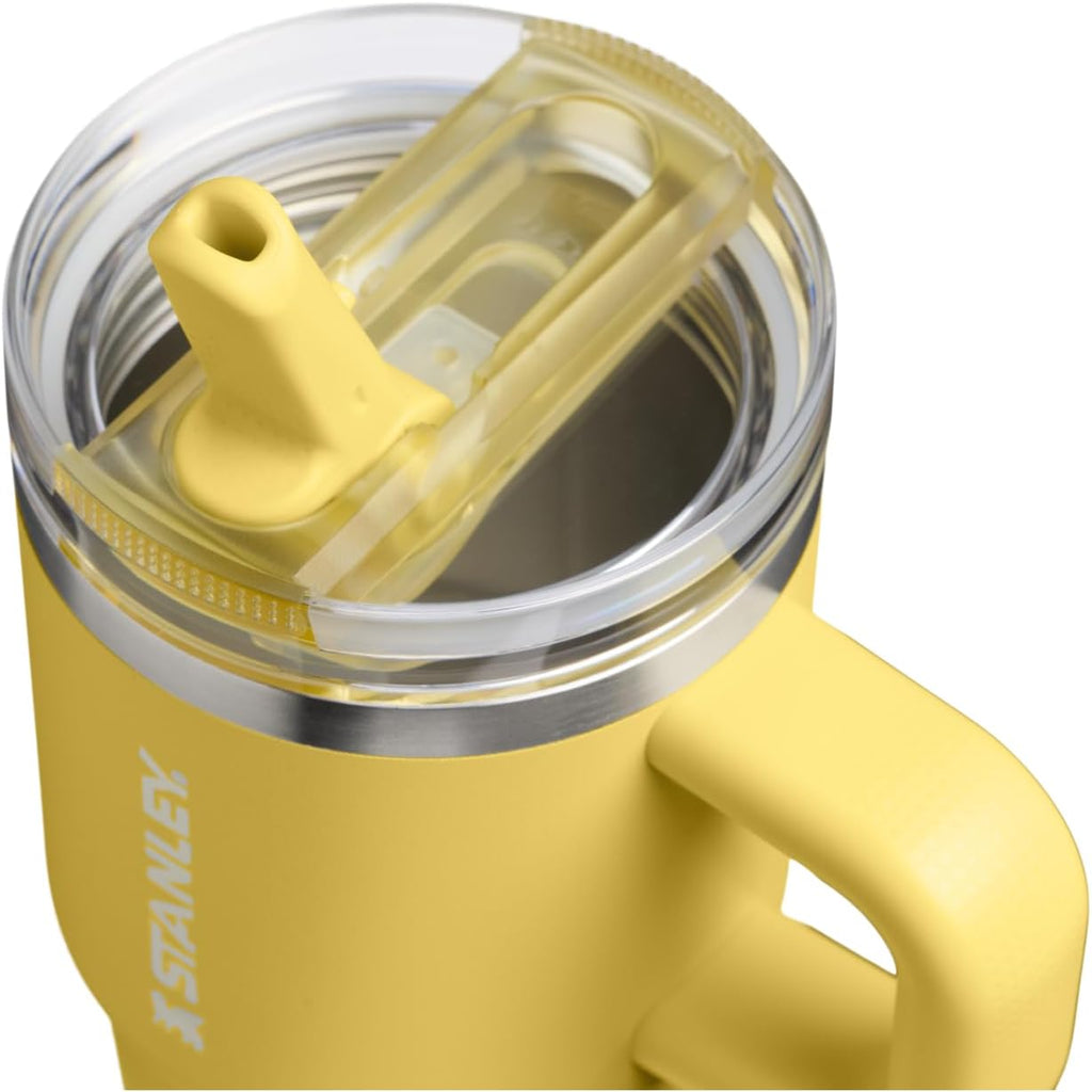 STANLEY Quencher ProTour 20 oz Tumbler - Leakproof Lid, Built-In Straw & Handle | BPA-Free Insulated Cup | Daffodil