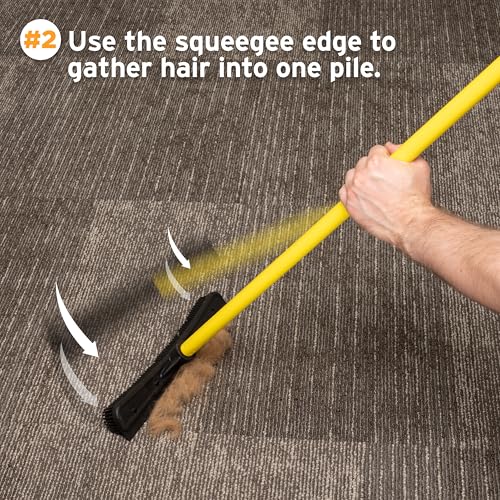 Pet Hair Removal Rubber Broom with 58-Inch Telescopic Handle & Squeegee