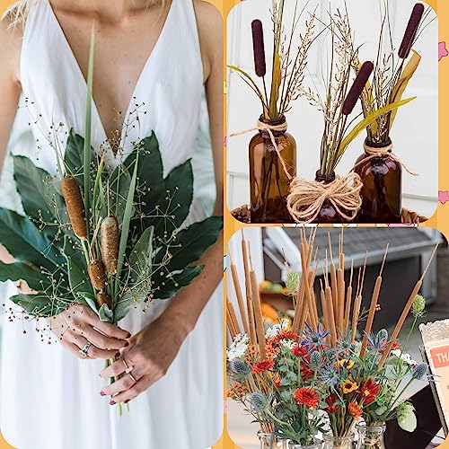 20 Pcs Dried Natural Cattails - 17-Inch Real Brown Bulrush Floral Stems