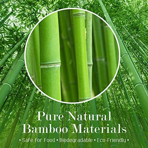 Minisland Monstera Leaf Cocktail Picks - Fancy Bamboo Toothpicks for Appetizers, 100 Count (MSL174-Monstera Leaf)