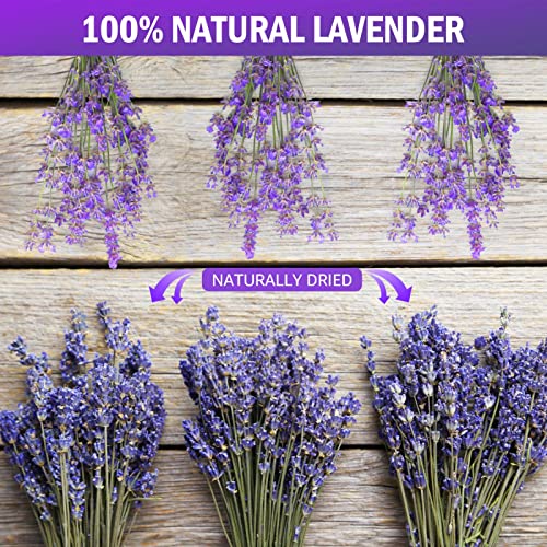 Natural Dried Lavender Flower Bundles for Home Decor and Fragrance