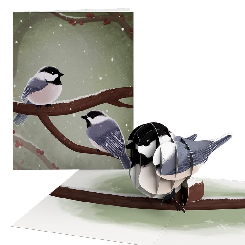 Lovepop Winter Bird Box Set (Assorted 12-Pack) Pop-Up Card for Her and Him - 3D Holiday Greeting Cards for Boys, Girls, Men, Women - 4.5" x 5.9" Paperpop Card - Envelope Included