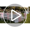 B-COOL Black Gold Bow Halloween Table Runner 3pcs 28x120in Tulle Gauze Decor