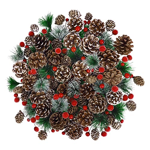 Fovths Christmas Pine Cone & Berry Decor Set - 232 Pieces for Holiday Crafts & Wreaths (Variation of THIS listing)