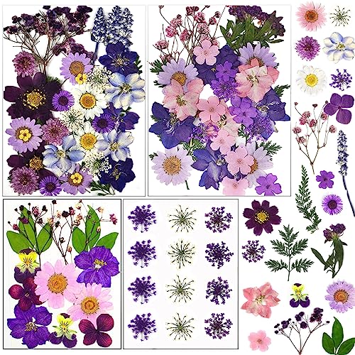 92 Pcs Natural Purple Dried Pressed Flowers for Resin, Candles, and Nail Art