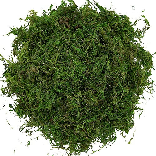Artificial Decorative Moss, 16oz Faux Green Moss for Crafts and Terrariums