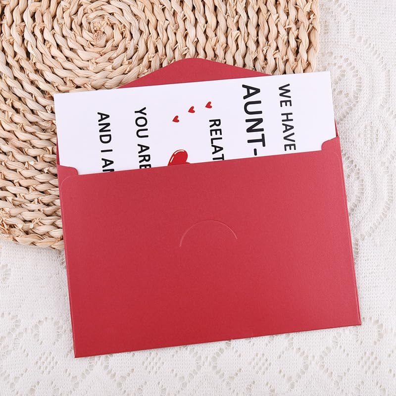 Aunt Birthday Card from Niece – Funny Christmas Card for Auntie, with Envelopes, Sdopbinbin