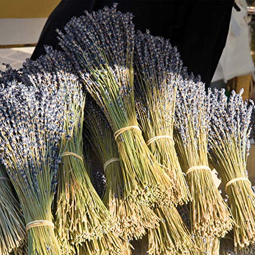 Natural Dried Lavender Flower Bundles, 200 Stems for Decor and Weddings