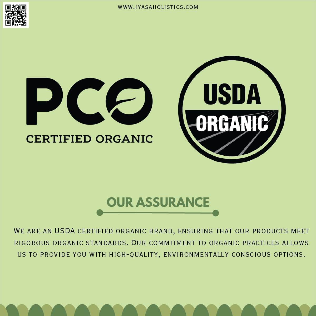 Senna Leaf 8 oz - USDA Certified Senna Leaves Organic Caffeine Free Tea for Hair & Skin Health - Pure Ayurveda Products by Iyasa Holistics