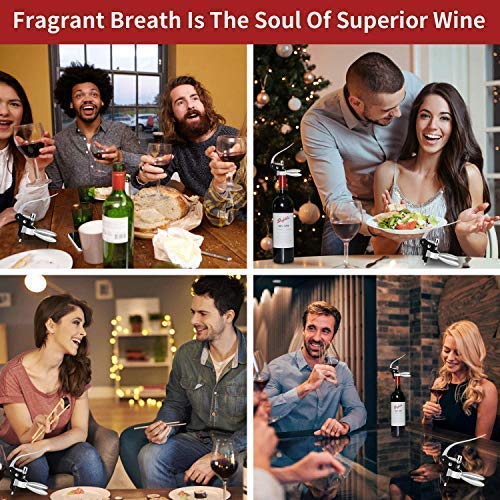 Stainless Steel Wine Bottle Opener Set with Corkscrew, Foil Cutter, Stopper & Spiral
