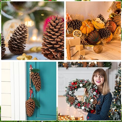 Huwena 24 Pcs Large Natural Pine Cones 5-6 Inches for Holiday Decor, Unscented