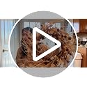 Dark Brown 18 Inch Fall Wreath with Pine Cones for Front Door & Decor