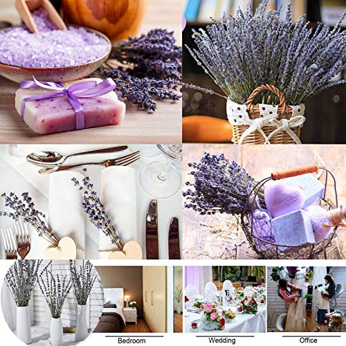 Natural Dried Lavender Flower Bundles, 200 Stems for Decor and Weddings