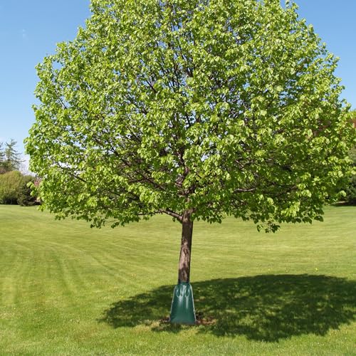 3-Pack Slow Release Tree Watering Bags - 20 Gallon Heavy Duty PVC