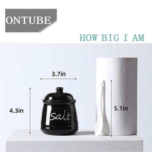 ONTUBE Ceramic Salt Bowl with Lid and Spoon 12oz (Black)