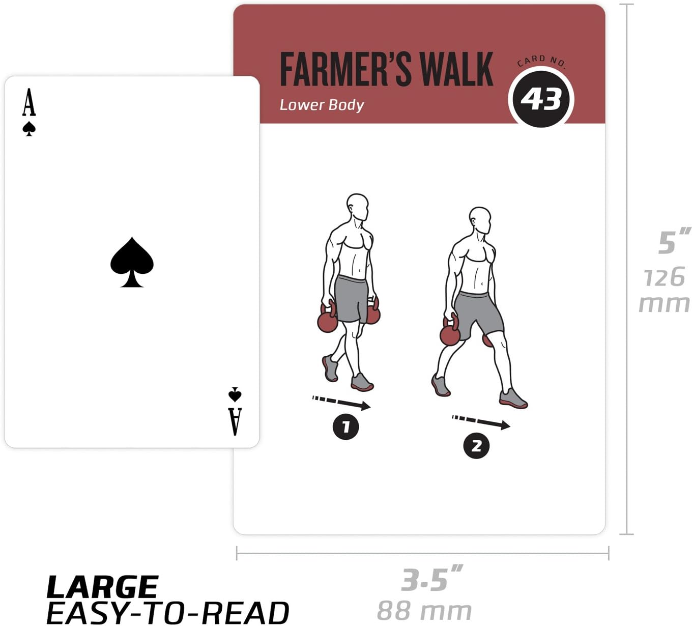 NewMe Fitness Kettlebell Workout Cards - Instructional Fitness Deck for Home & Gym Training