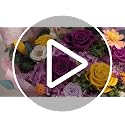 Preserved Real Rose Bouquet in Gift Box - Long-Lasting Floral Arrangement